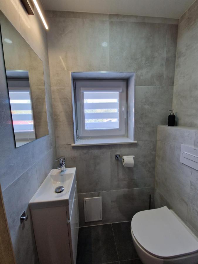 שצ'קלארסקה פוראובה Willa Rosa-Apartamenty Z Prywatna Sauna מראה חיצוני תמונה