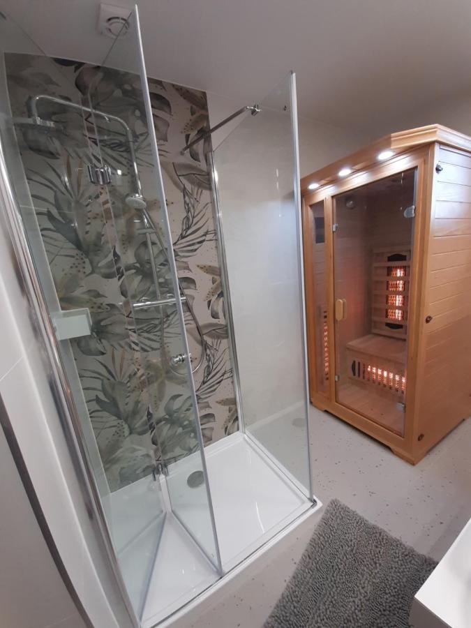שצ'קלארסקה פוראובה Willa Rosa-Apartamenty Z Prywatna Sauna מראה חיצוני תמונה