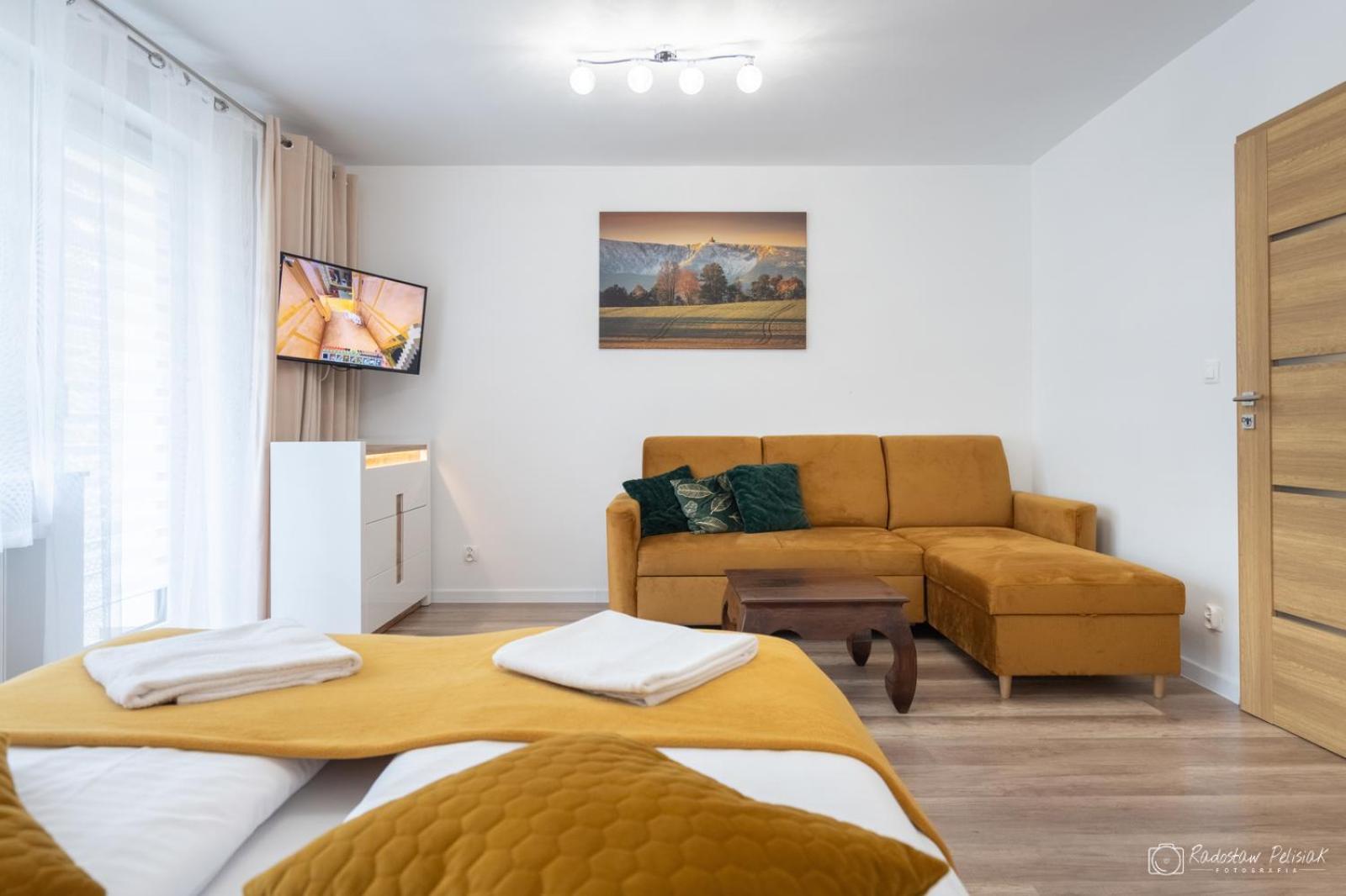שצ'קלארסקה פוראובה Willa Rosa-Apartamenty Z Prywatna Sauna מראה חיצוני תמונה